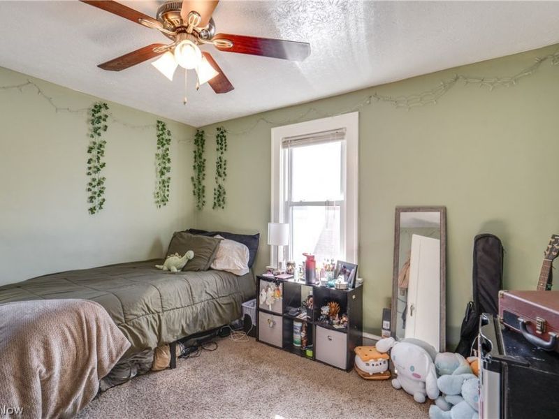 934 Packard Drive, Akron, OH 44320 Photo 22