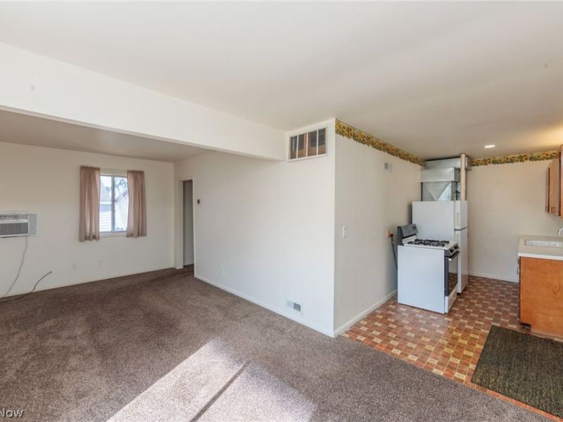 1144 Sutherland Avenue, Akron, OH 44314 Photo 38