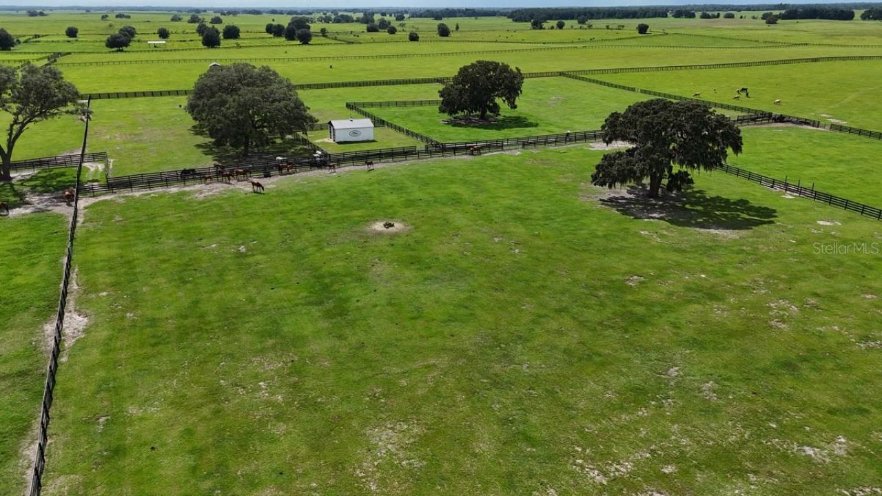 7970 SW 140th Avenue, Unit Option 1, Dunnellon, FL 34432 Photo