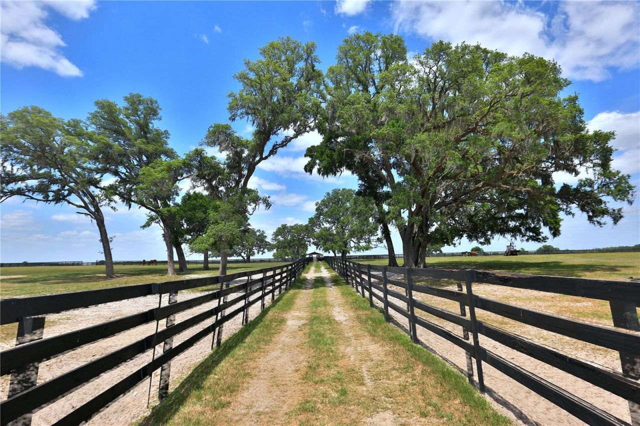 7970 SW 140th Avenue, Unit Option 1, Dunnellon, FL 34432 Photo