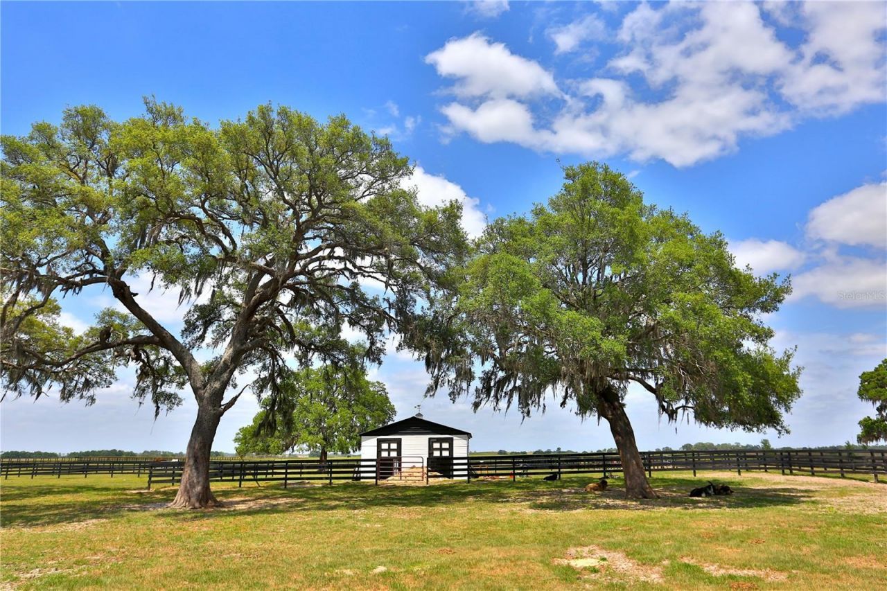 7970 SW 140th Avenue, Unit Option 1, Dunnellon, FL 34432 Photo