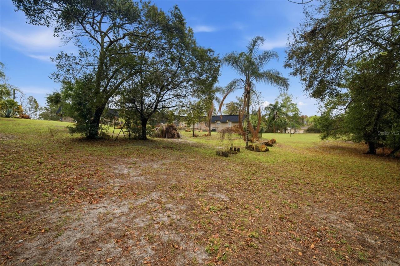 Please Call For Address, New Port Richey, FL 34654 Photo