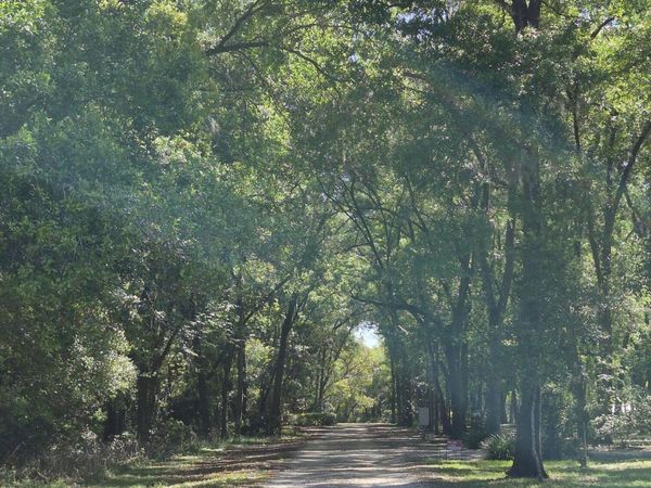 1610 Strathcona Avenue, DeLand, FL 32720