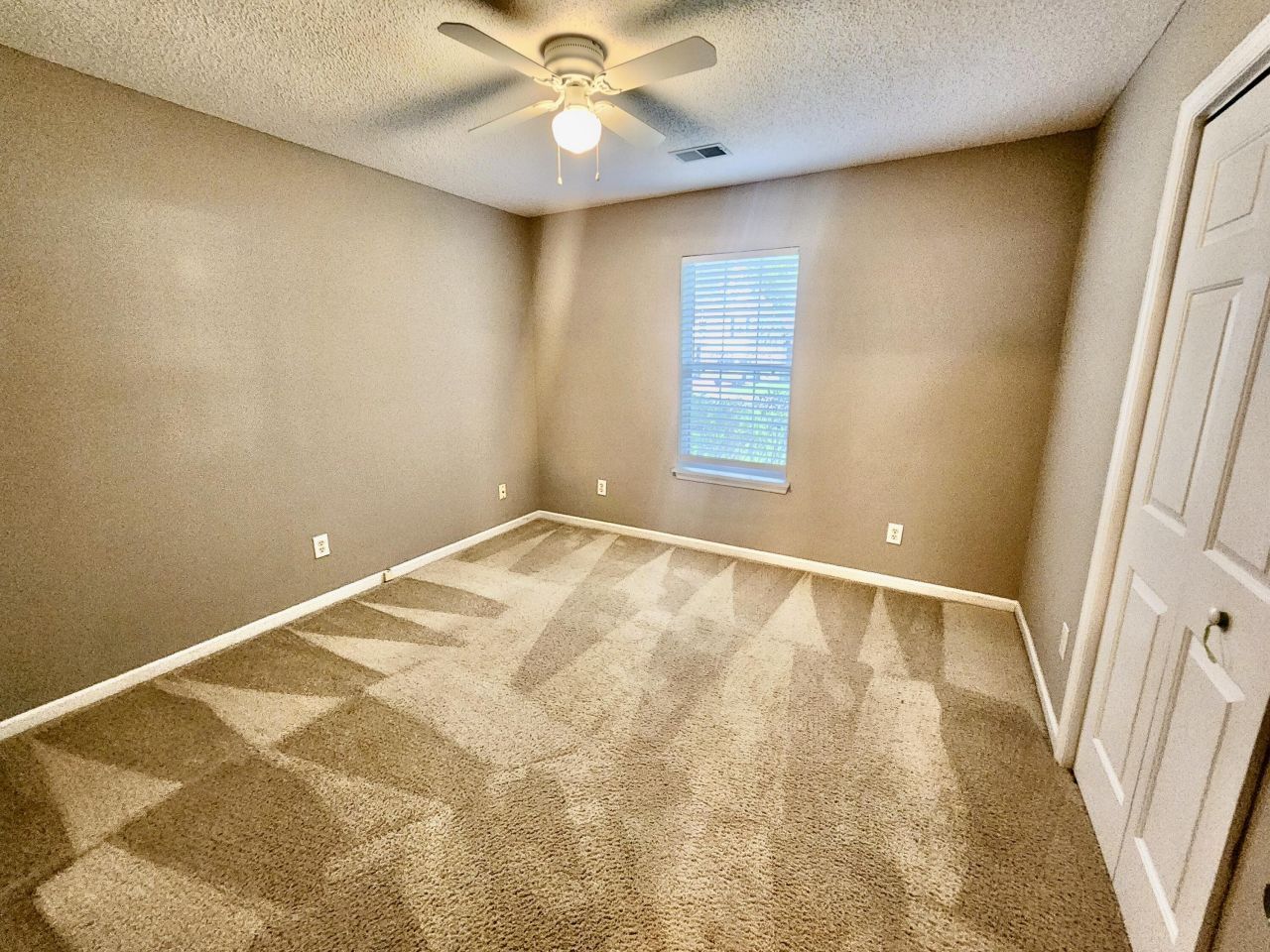 1914 Cedar Petal Lane Photo 18