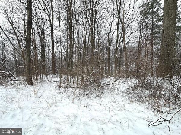 Lot 4 DUWAMISH TRAIL , WINCHESTER, VA 22602