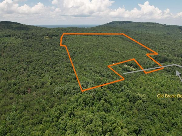 Shady Oaks Drive, Spring City, TN 37381