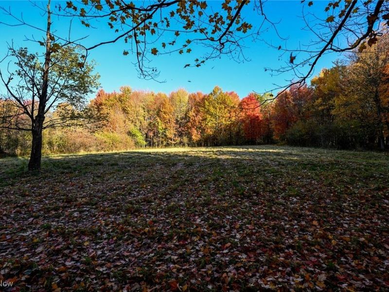 30875 Cannon Road, Solon, OH 44139 Photo 13