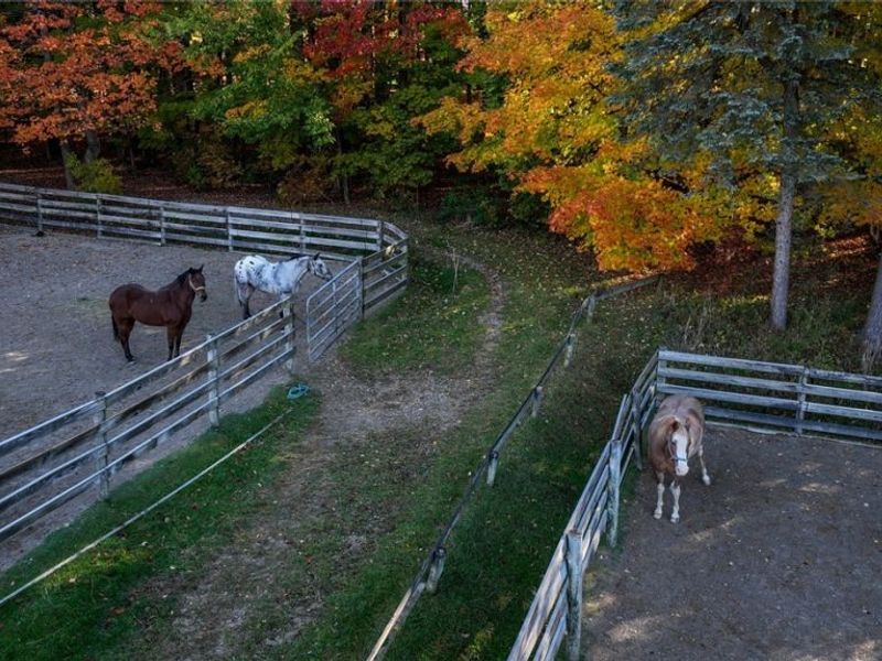 30875 Cannon Road, Solon, OH 44139 Photo 9