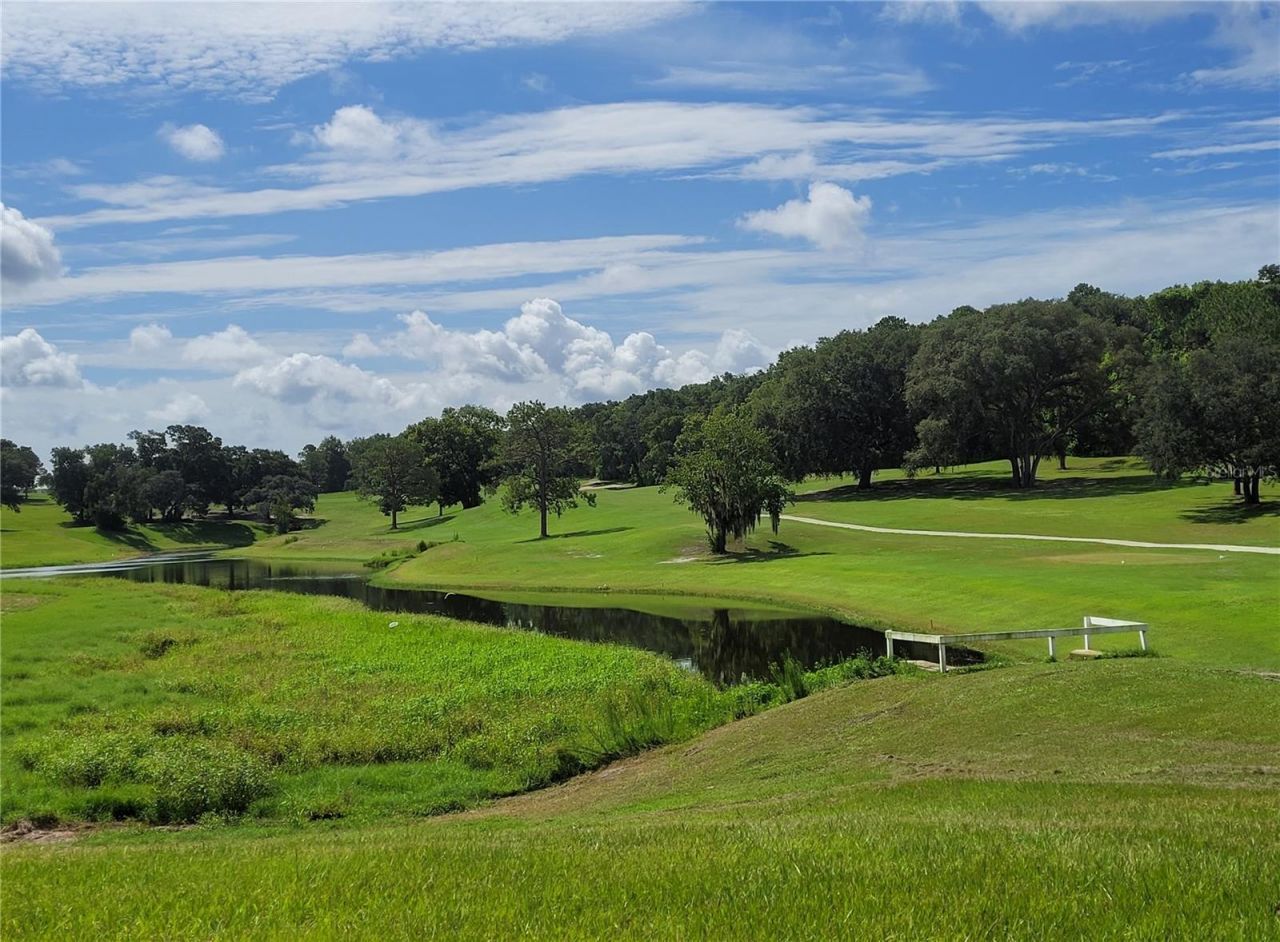 3405 Overlook Road , Unit 1623, Zellwood, FL 32798 Photo