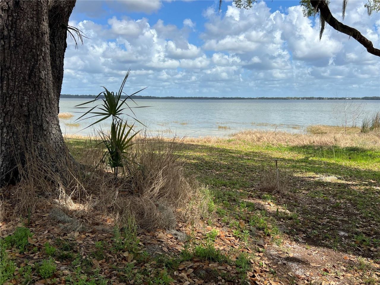 0 Apiary Circle , Grand Island, FL 32735 Photo