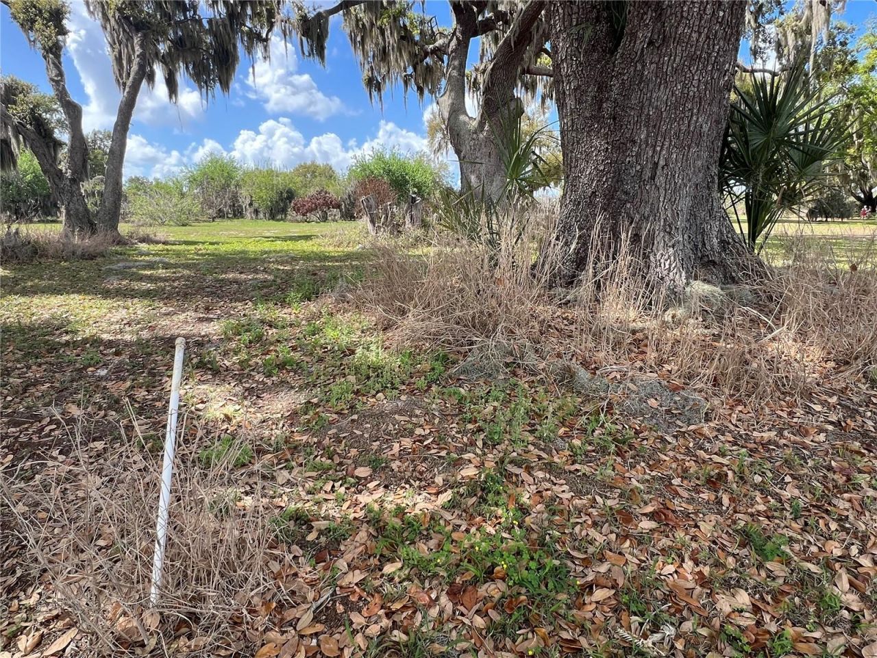 0 Apiary Circle , Grand Island, FL 32735 Photo