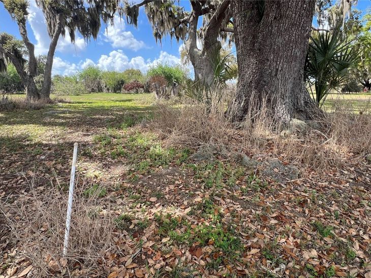0 Apiary Circle, Grand Island, FL 32735