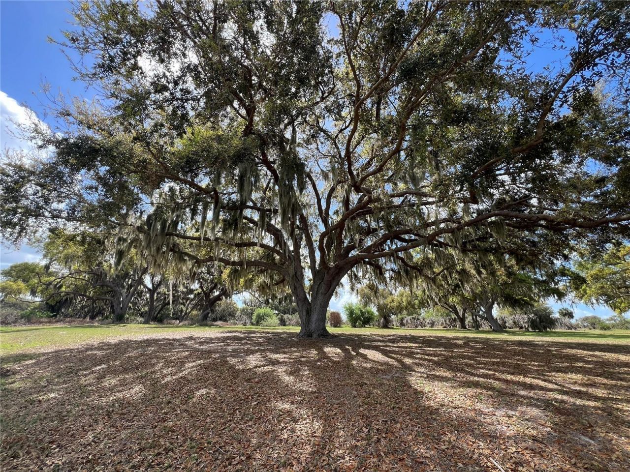 0 Apiary Circle , Grand Island, FL 32735 Photo