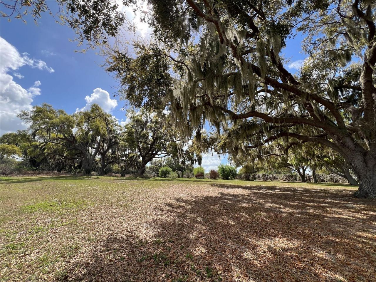 0 Apiary Circle , Grand Island, FL 32735 Photo