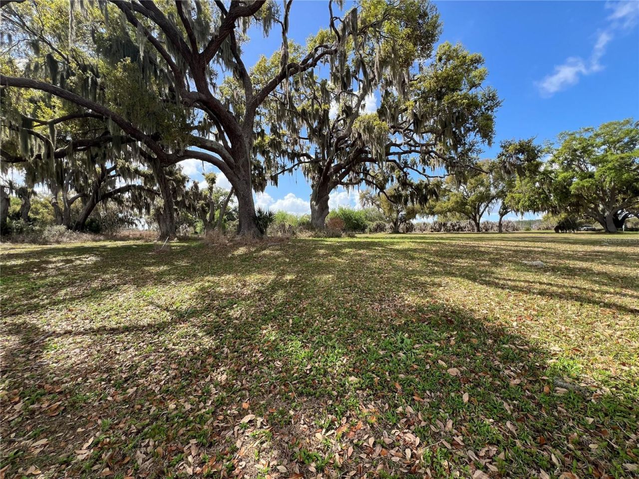 0 Apiary Circle , Grand Island, FL 32735 Photo