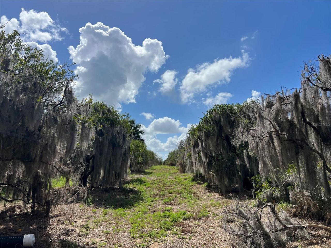 0 Apiary Circle , Grand Island, FL 32735 Photo