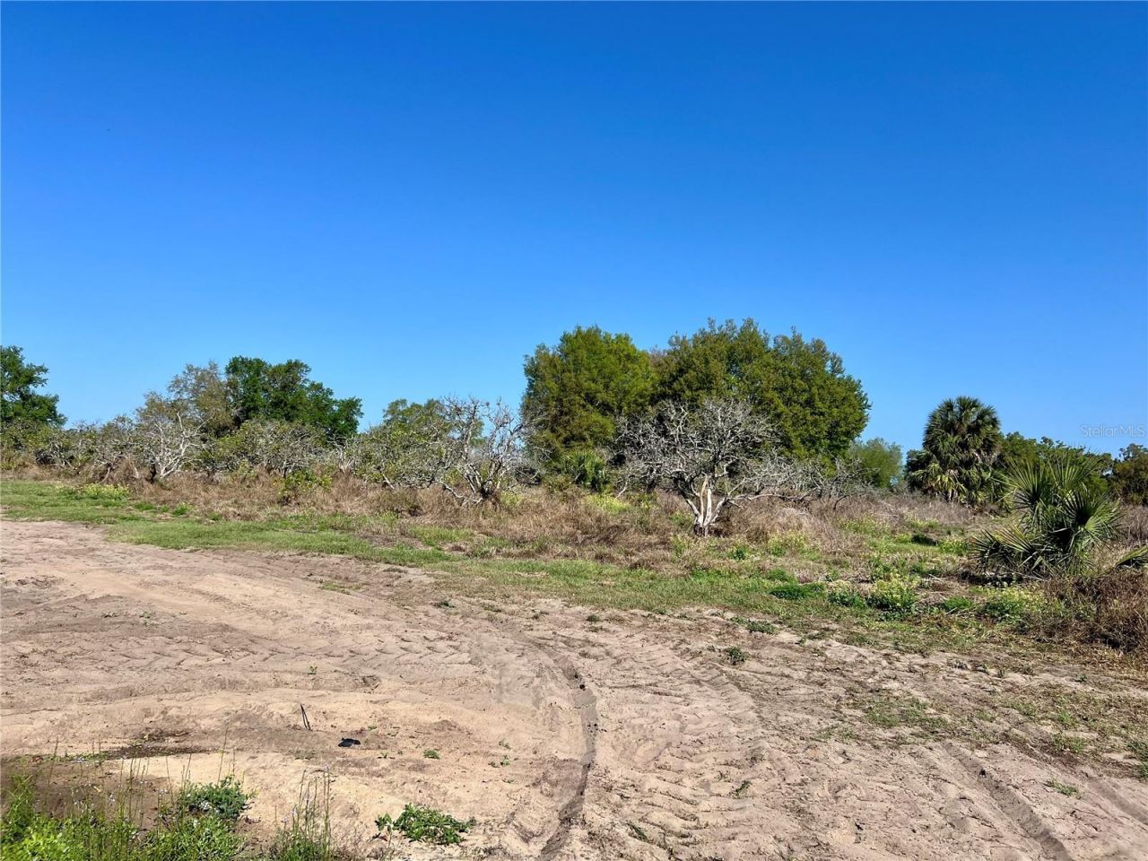 0 Apiary Circle , Grand Island, FL 32735 Photo