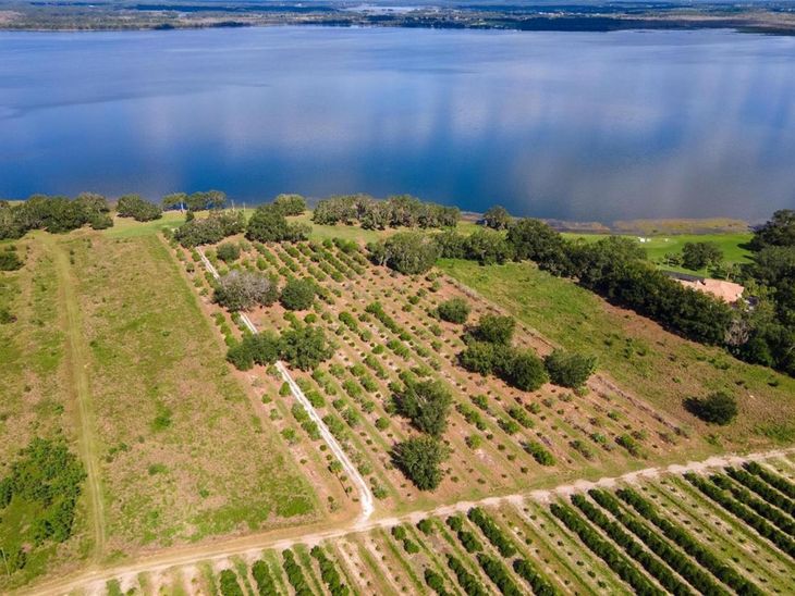 0 Apiary Circle, Grand Island, FL 32735