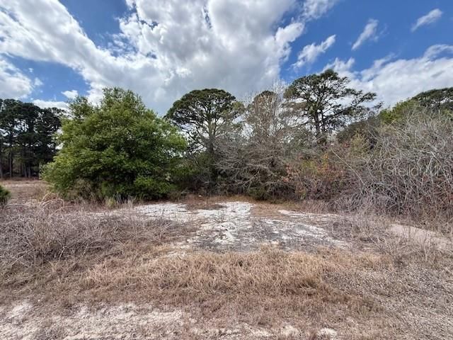 612 Twilight Dr Lot 31, Lake Placid, FL 33852 Photo