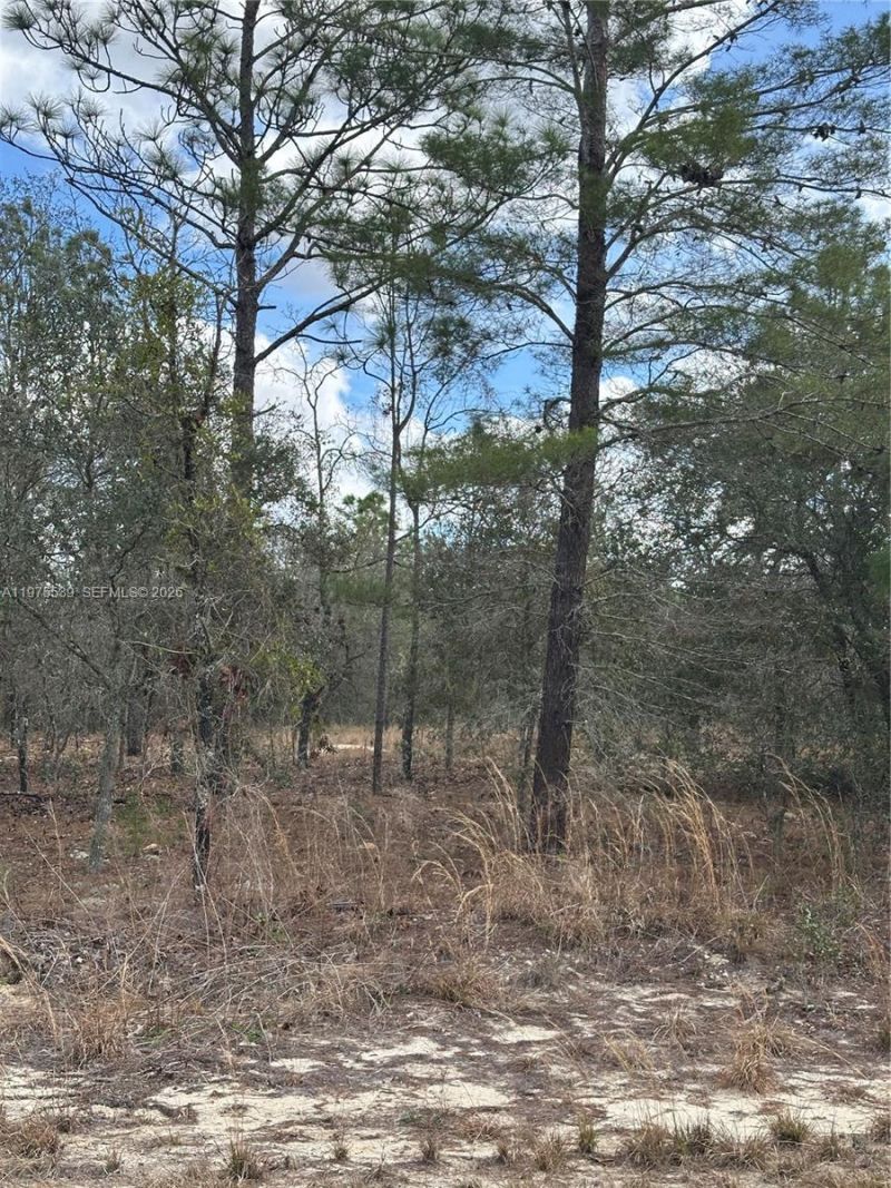 Please Call For Address, Dunnellon, FL 34431 Photo