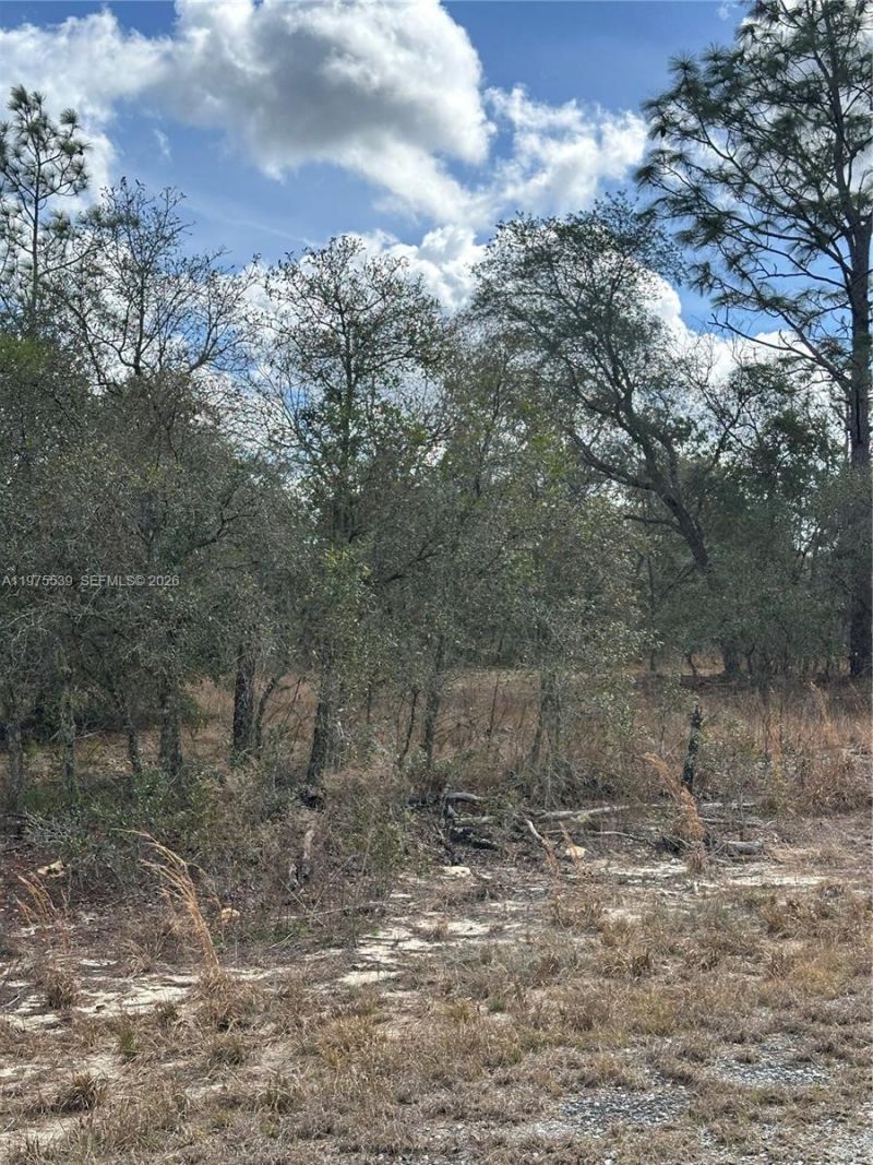 Please Call For Address, Dunnellon, FL 34431 Photo