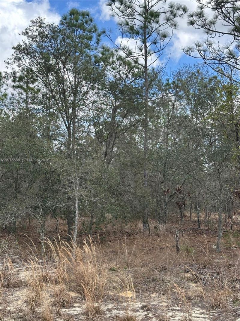 Please Call For Address, Dunnellon, FL 34431 Photo