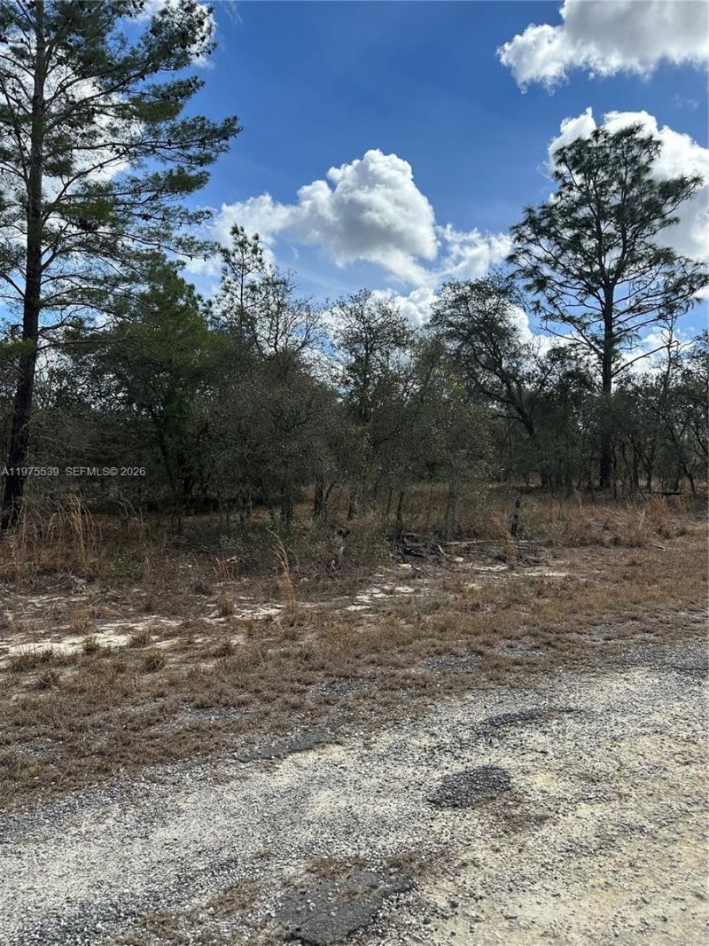 Please Call For Address, Dunnellon, FL 34431 Photo