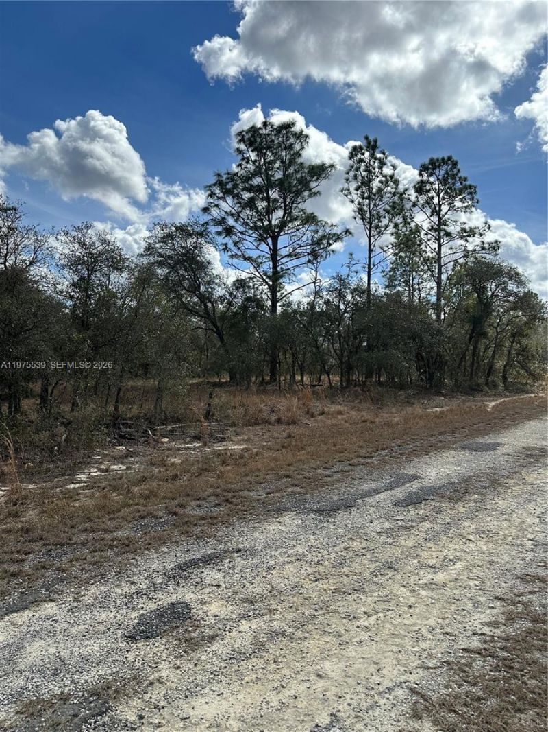 Please Call For Address, Dunnellon, FL 34431 Photo