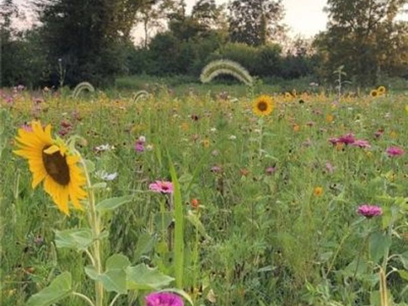 12406 Brookville Pyrmont Road, Brookville, OH 45309 Photo 57