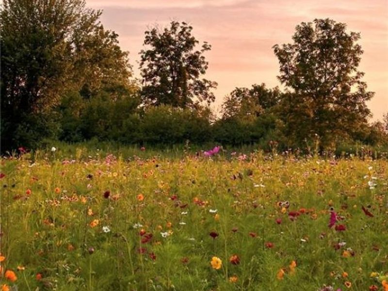 12406 Brookville Pyrmont Road, Brookville, OH 45309 Photo 58