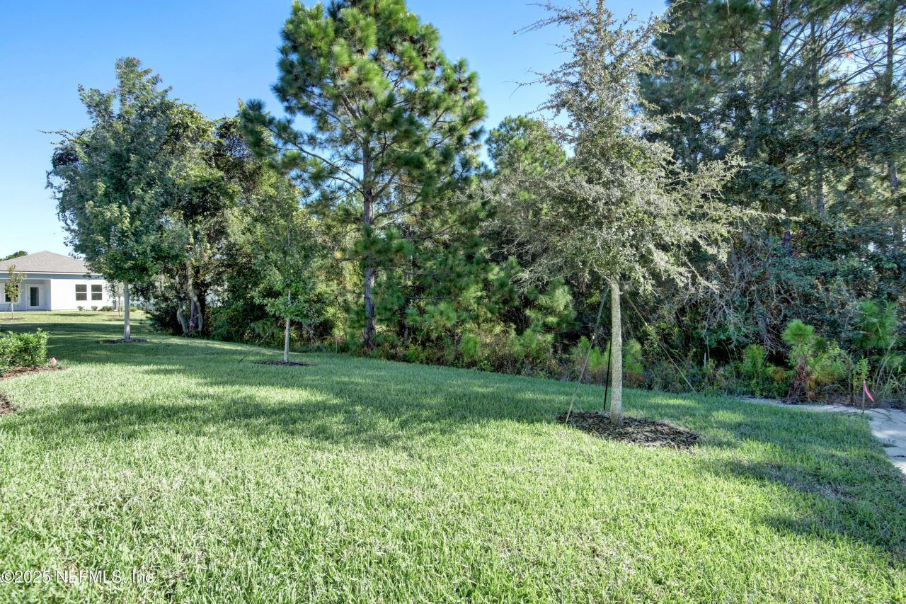 395 Applejack Drive, Saint Augustine, FL 32092 Photo