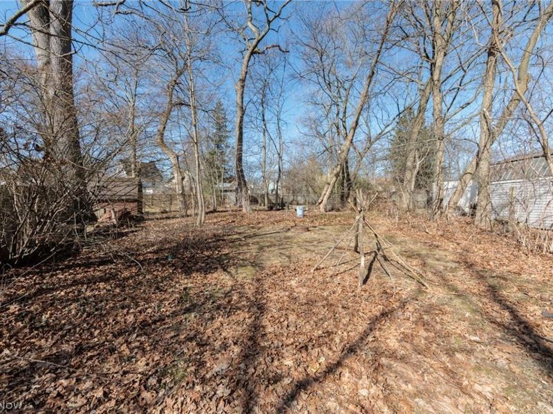 114 Beck Avenue, Akron, OH 44302 Photo 29