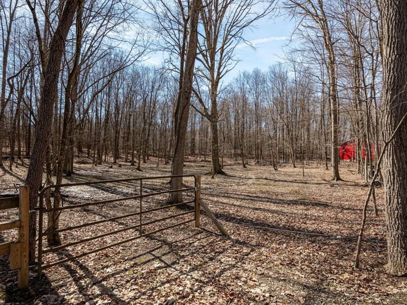 5360 Township Road 187, Marengo, OH 43334 Photo 57