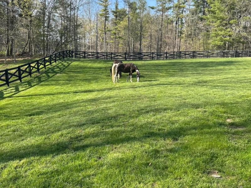 5360 Township Road 187, Marengo, OH 43334 Photo 63