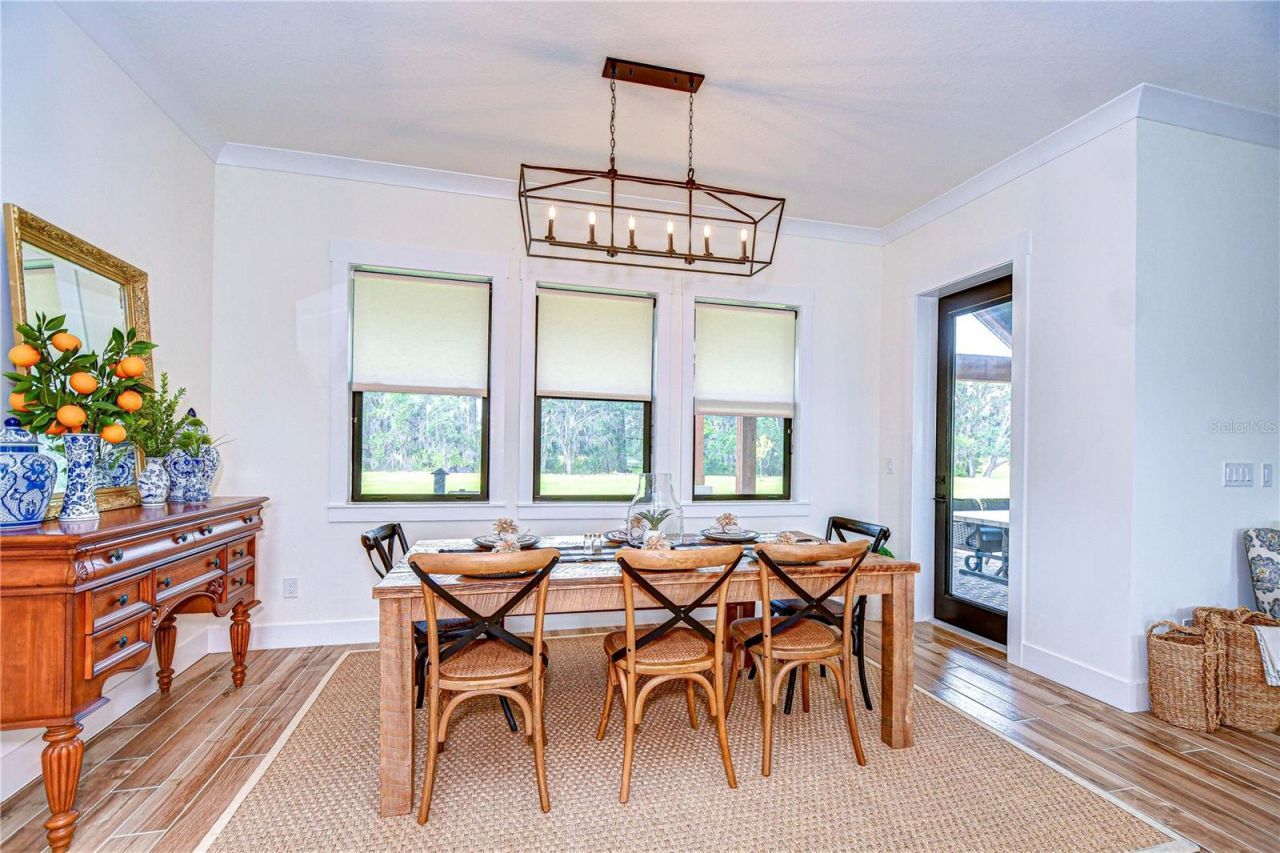 111 Alafia Estates Lane, Lithia, FL 33547 Photo