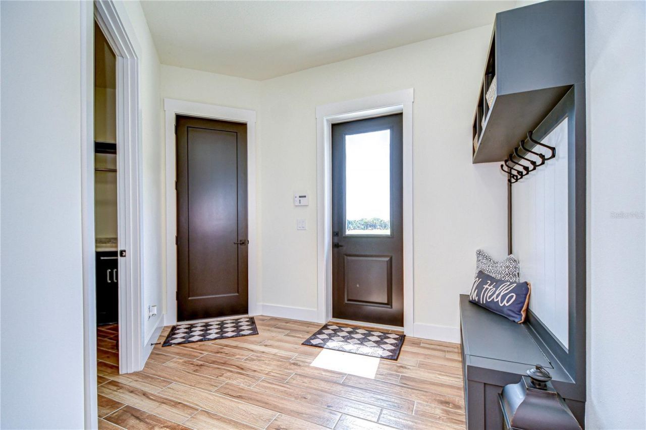 111 Alafia Estates Lane, Lithia, FL 33547 Photo