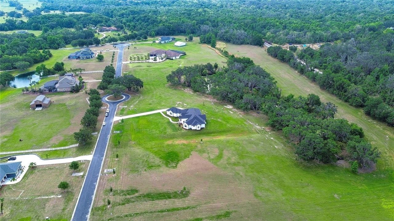 111 Alafia Estates Lane, Lithia, FL 33547 Photo