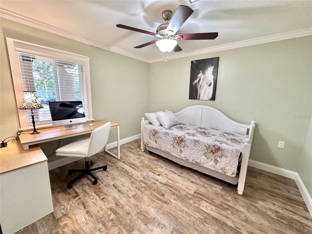 7831 4th Avenue S, Saint Petersburg, FL 33707 Photo