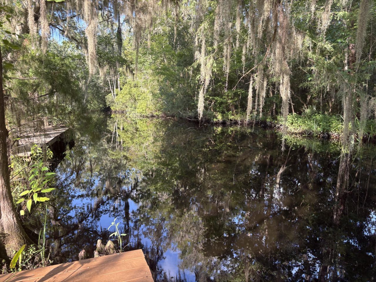 3323 Prices Bridge Lane Photo 23