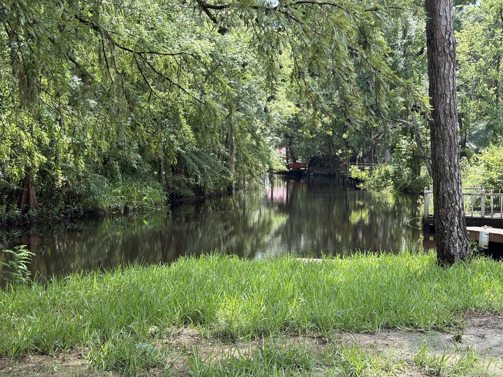 3323 Prices Bridge Lane Photo 47