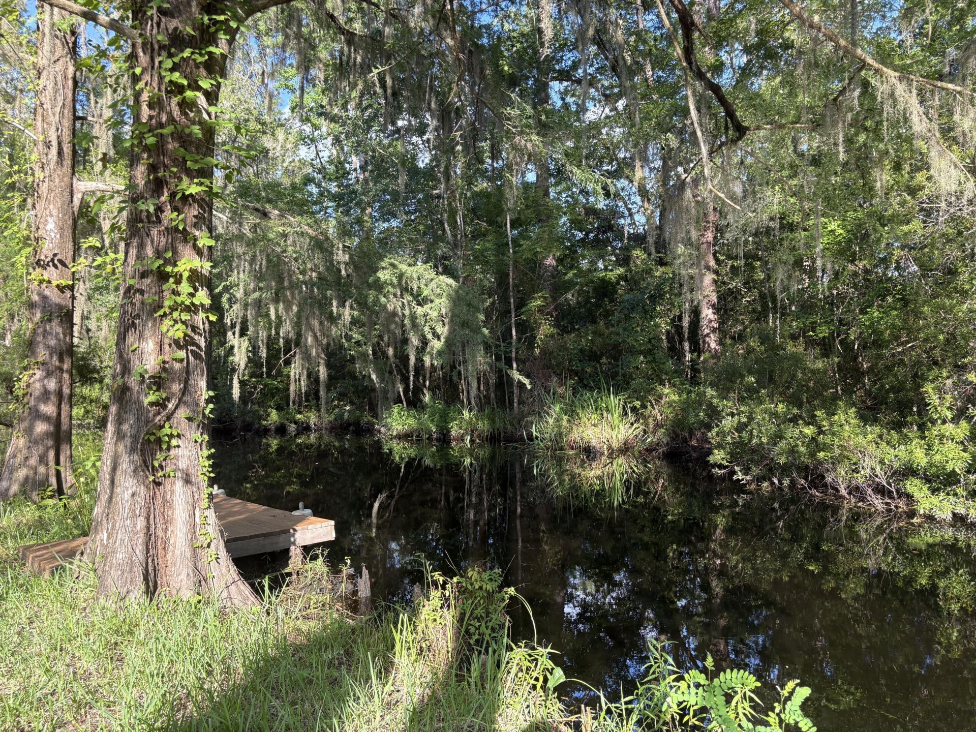 3323 Prices Bridge Lane Photo 8