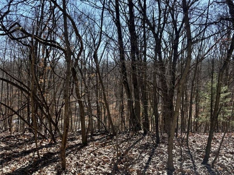 48065 S Yuma Cove, Negley, OH 44441 Photo 1