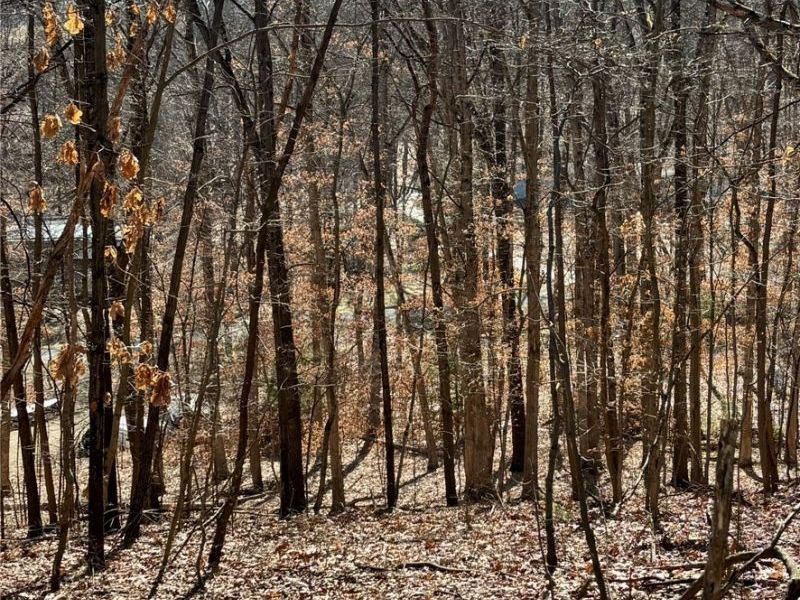 48065 S Yuma Cove, Negley, OH 44441 Photo 2