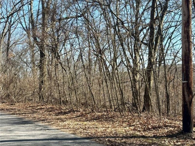 48065 S Yuma Cove, Negley, OH 44441 Photo 3