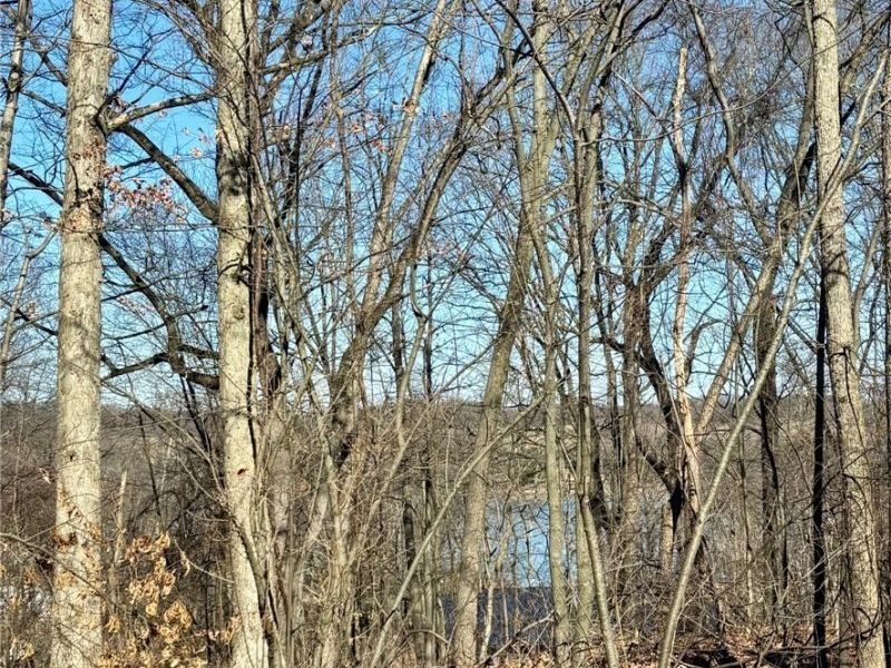 48065 S Yuma Cove, Negley, OH 44441 Photo 4