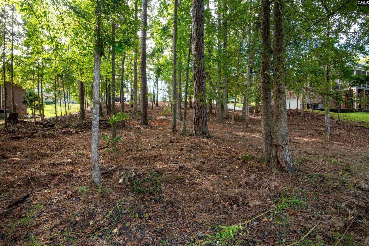 416 Lookover Pointe Drive  Photo 11