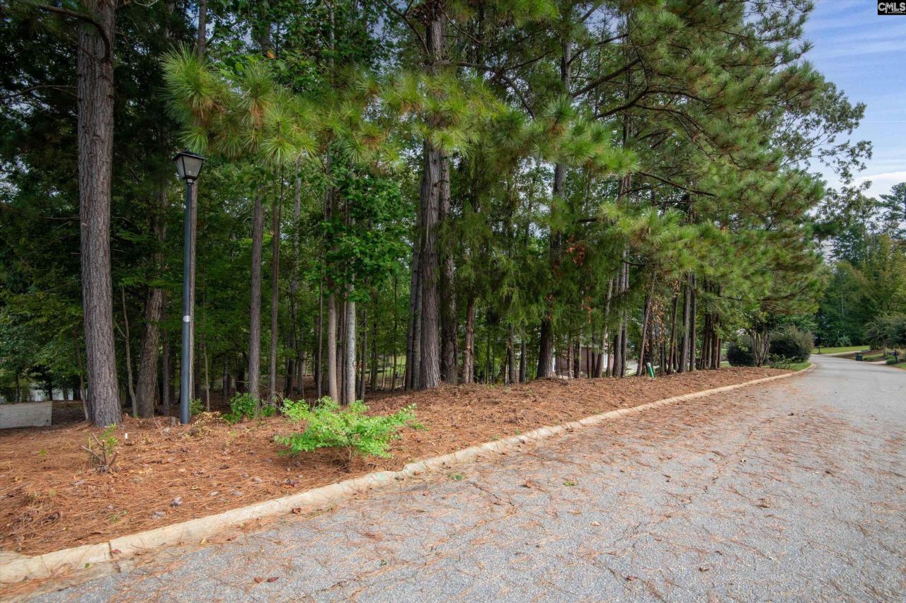 416 Lookover Pointe Drive  Photo 12