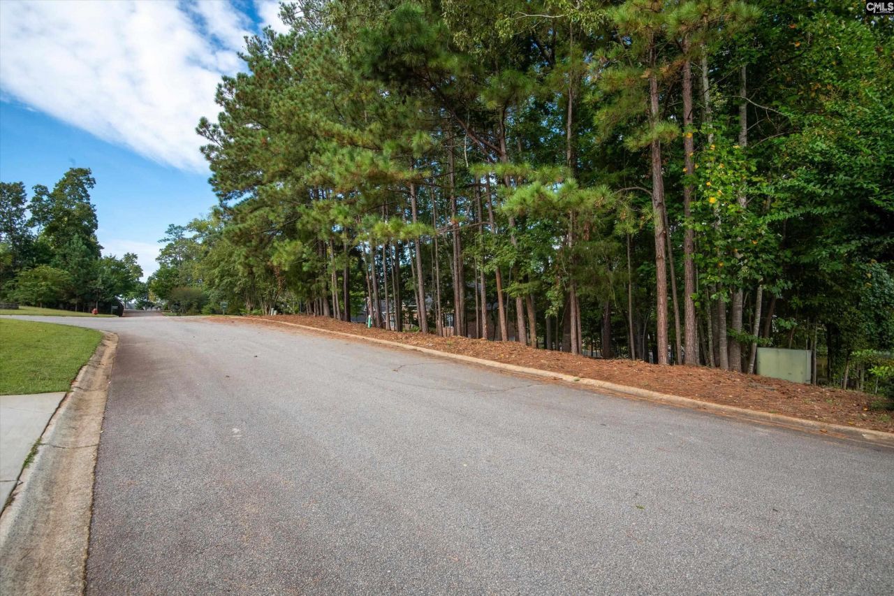 416 Lookover Pointe Drive  Photo 13