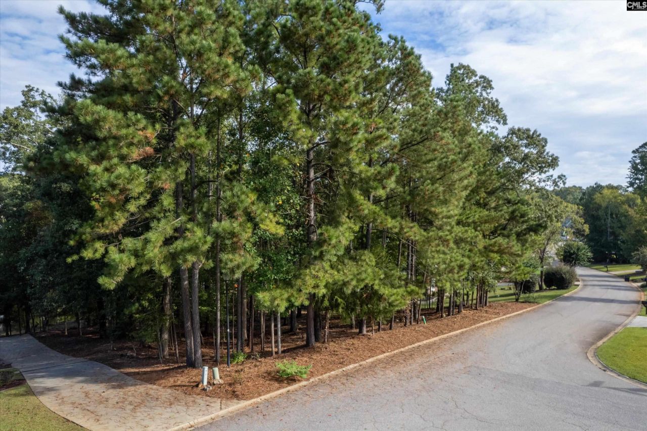 416 Lookover Pointe Drive  Photo 14