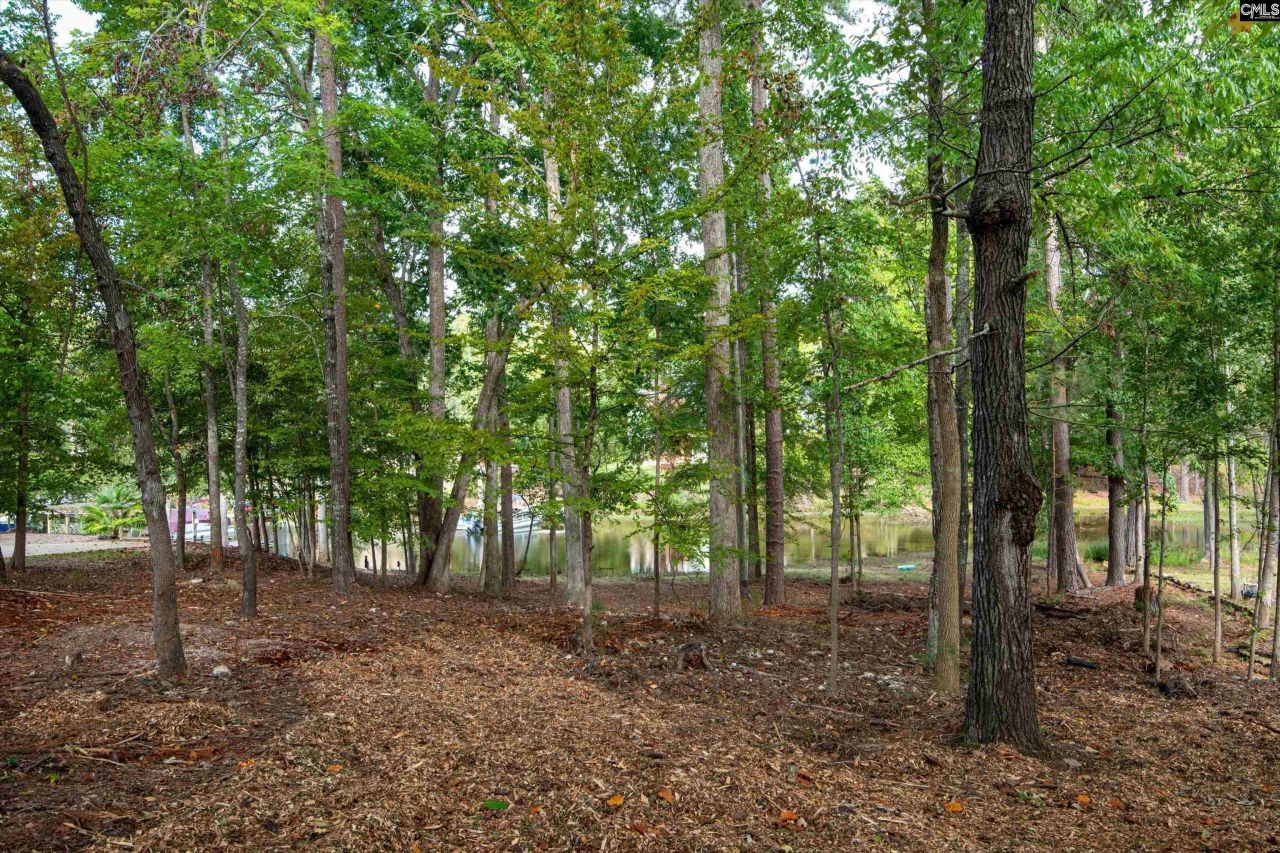 416 Lookover Pointe Drive  Photo 15